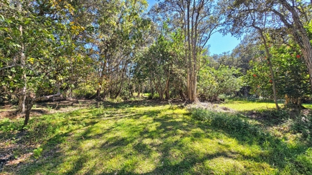 Hawaiʻi Horse & Ranch Retreat: 10.25 Acres with 3BR Home - image 13