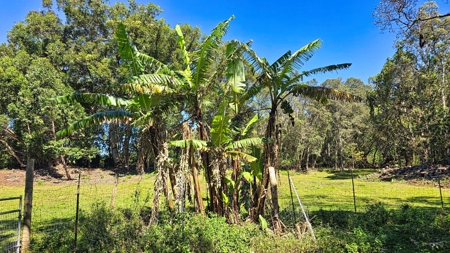 Hawaiʻi Horse & Ranch Retreat: 10.25 Acres with 3BR Home - image 21