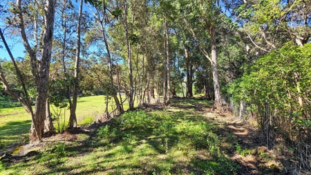 Hawaiʻi Horse & Ranch Retreat: 10.25 Acres with 3BR Home - image 14