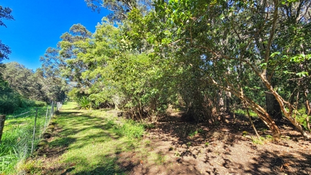 Hawaiʻi Horse & Ranch Retreat: 10.25 Acres with 3BR Home - image 8