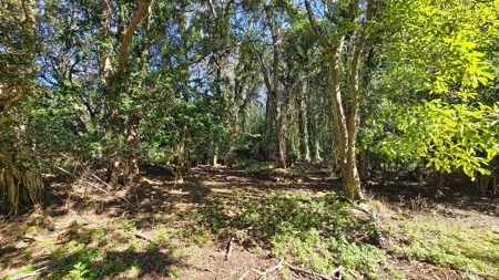 Hawaiʻi Horse & Ranch Retreat: 10.25 Acres with 3BR Home - image 10