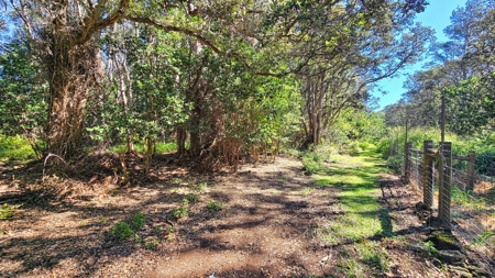 Hawaiʻi Horse & Ranch Retreat: 10.25 Acres with 3BR Home - image 9