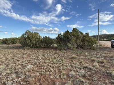 Northern AZ Mountain Land for Sale with No HOA - image 3