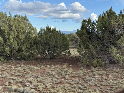 Northern AZ Mountain Land for Sale with No HOA - image 1
