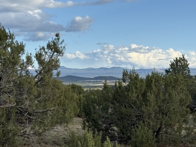 Northern AZ Mountain Land for Sale with No HOA - image 6