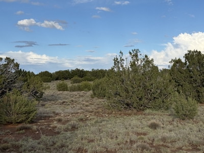 Northern AZ Mountain Land for Sale with No HOA - image 5