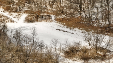 Dead-End Road 14-Acre Valley Estate with Dual Living Quarters - image 46