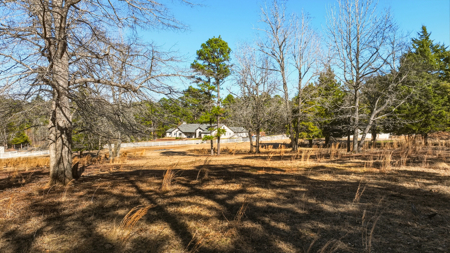 House with land for sale Hallsville ISD - image 48