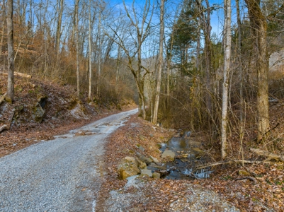 Custom 3 Story Home on 146.93 Acres in Grainger County - image 35
