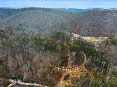 Custom 3 Story Home on 146.93 Acres in Grainger County - image 41