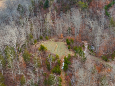Custom 3 Story Home on 146.93 Acres in Grainger County - image 40