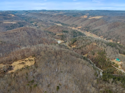 Custom 3 Story Home on 146.93 Acres in Grainger County - image 43