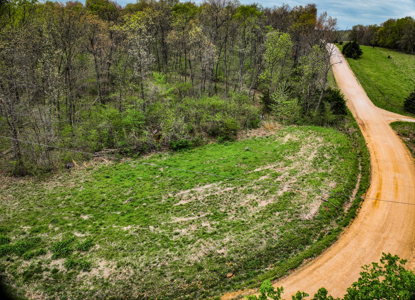 Land For Sale Stockton Lake Missouri - image 43
