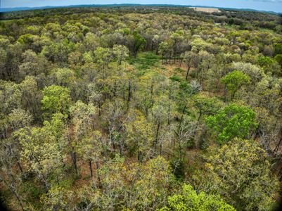 Land For Sale Stockton Lake Missouri - image 42