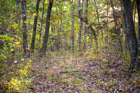 Land For Sale Stockton Lake Missouri - image 14