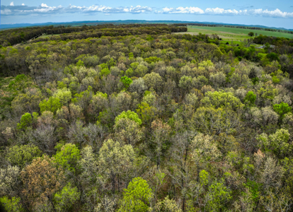 Land For Sale Stockton Lake Missouri - image 38