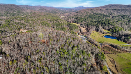 Huge Lot with Long Range Views - Henderson County NC - image 10