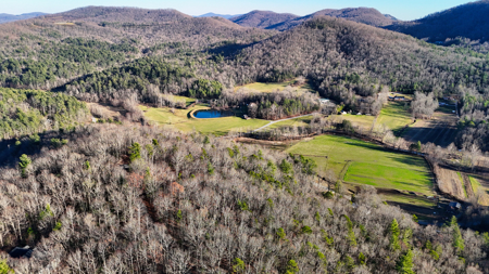 Huge Lot with Long Range Views - Henderson County NC - image 8