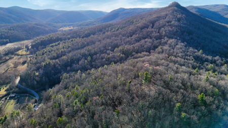 Huge Lot with Long Range Views - Henderson County NC - image 18