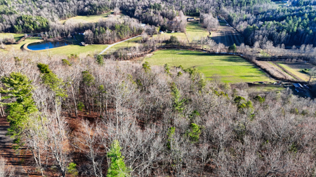 Huge Lot with Long Range Views - Henderson County NC - image 23
