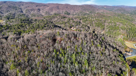 Huge Lot with Long Range Views - Henderson County NC - image 12