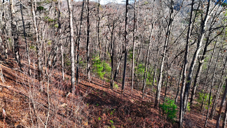 Huge Lot with Long Range Views - Henderson County NC - image 33