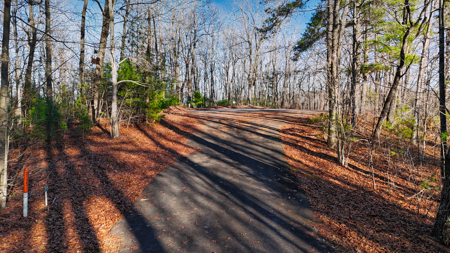 Huge Lot with Long Range Views - Henderson County NC - image 43