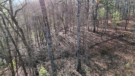 Huge Lot with Long Range Views - Henderson County NC - image 37