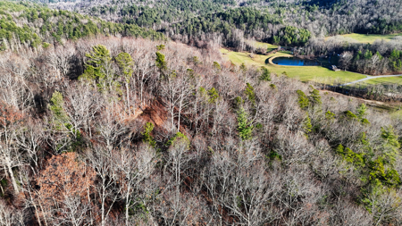 Huge Lot with Long Range Views - Henderson County NC - image 24