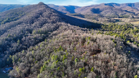 Huge Lot with Long Range Views - Henderson County NC - image 16