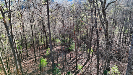 Huge Lot with Long Range Views - Henderson County NC - image 36