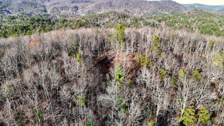 Huge Lot with Long Range Views - Henderson County NC - image 26