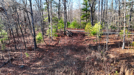 Huge Lot with Long Range Views - Henderson County NC - image 29