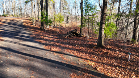 Huge Lot with Long Range Views - Henderson County NC - image 44