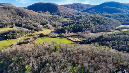 Huge Lot with Long Range Views - Henderson County NC - image 6