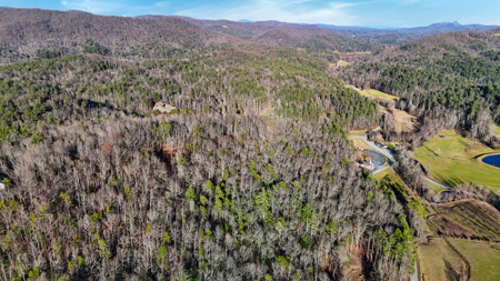Huge Lot with Long Range Views - Henderson County NC - image 11