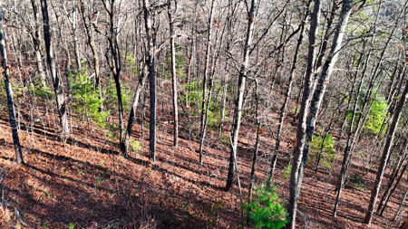 Huge Lot with Long Range Views - Henderson County NC - image 34