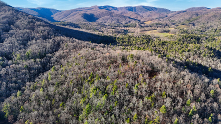 Huge Lot with Long Range Views - Henderson County NC - image 15