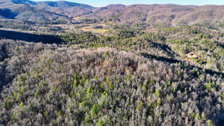 Huge Lot with Long Range Views - Henderson County NC - image 14