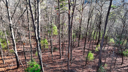 Huge Lot with Long Range Views - Henderson County NC - image 35
