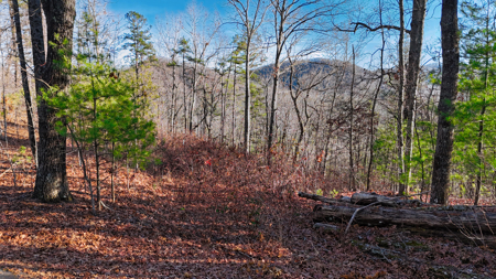Huge Lot with Long Range Views - Henderson County NC - image 41