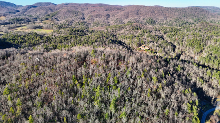 Huge Lot with Long Range Views - Henderson County NC - image 13