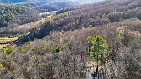 Huge Lot with Long Range Views - Henderson County NC - image 20