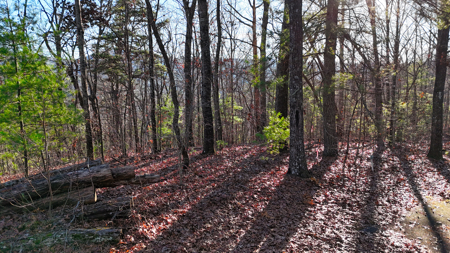 Huge Lot with Long Range Views - Henderson County NC - image 42