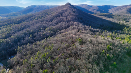 Huge Lot with Long Range Views - Henderson County NC - image 17