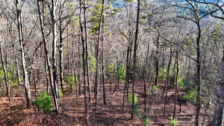Huge Lot with Long Range Views - Henderson County NC - image 32