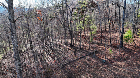 Huge Lot with Long Range Views - Henderson County NC - image 30