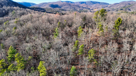 Huge Lot with Long Range Views - Henderson County NC - image 28