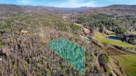 Huge Lot with Long Range Views - Henderson County NC - image 1