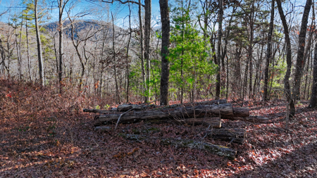 Huge Lot with Long Range Views - Henderson County NC - image 40